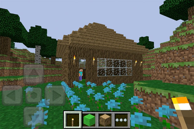 Minecraft: Pocket Edition Mobile App Review - RobustTechHouse